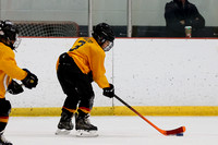 GM_260_540PM_MLHA vs NP Wildcats_SUN_OLM_MITE_COMET__________