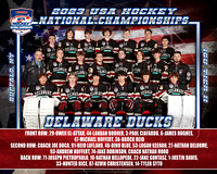 DELAWARE DUCKS copy