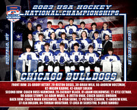 Chicago Bulldogs copy