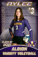 2021 Albion Volley Ball Banners
