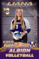 23 Albion Volleyball