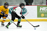 Morgan Hockey Photos