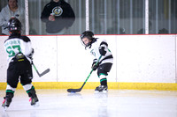 GM_275_920AM_HORNETS_PETRUSKA_vs_SHAHA_JONES_MON_Stad_MITE_CUPID__________