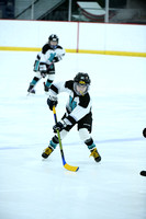 North Pittsburgh Squirt 1