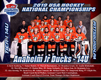 Anaheim jr ducks