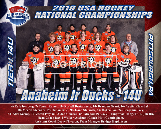 Anaheim jr ducks