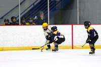 GM_142_Beaver_Badgers_vs_Pitt_Predators_Wed_1025AM_Clear_Mite_Dasher