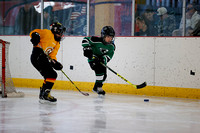 GM_173_SHAHA_Dobos_vs_Hornets_Lewis_Thur_940AM_Stad_Mite_Prancer