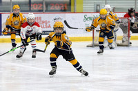 GM_182_Predators vs RMU Ice Dogs_Thur_1205PM_Clear_Mite_Dasher