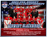 Midwest Blackbirds