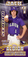 24 Albion Baseball & Softball Banners