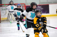 GM_225_840AM_WHEELING_NAILERS_vs_WILDCATS_DEVO_2_SUN_Clear_SQ_COMET__________