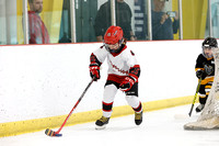 GM_194_1230PM_Ice Dawgs vs Rebellion_SAT_OLM_MITE_PRANCER__________
