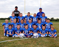 Mini FBL
