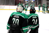 GM_101_Dallas_Stars_vs_Little_Caesars_WED_110PM_Hynd_Rk