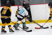 0K4A3163_GM_225_840AM_WHEELING_NAILERS_vs_WILDCATS_DEVO_2_SUN_Clear_SQ_COMET__________
