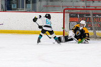 0K4A3204_GM_225_840AM_WHEELING_NAILERS_vs_WILDCATS_DEVO_2_SUN_Clear_SQ_COMET__________