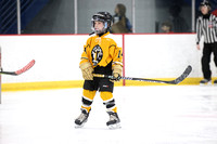 GM_328_535PM_Rebellion vs Wheeling_TUES_Mite Vixen
