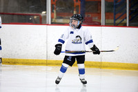 GM_208_420PM_NORTH_Pitt_WILDCATS_vs_MID_STATE_MUSTANGS_SAT_Clear_SQ_DANCER__________