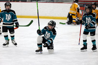 DK__6583_GM_193_1220PM_WILDCATS_DEVO_1_vs_WHEELING_NAILERS_SAT_Clear_SQ_COMET__________