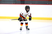 GM_282_1215PM_Pitt_VENGEANCE_vs_MLHA_HORNETS_MON_Clear_SQ_DANCER__________