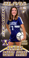 22 Albion Girls Soccer Banners